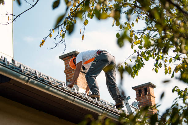 Fast & Reliable Emergency Roof Repairs in Los Osos, CA