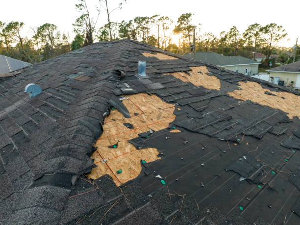 Best Roof Maintenance and Cleaning  in Los Osos, CA